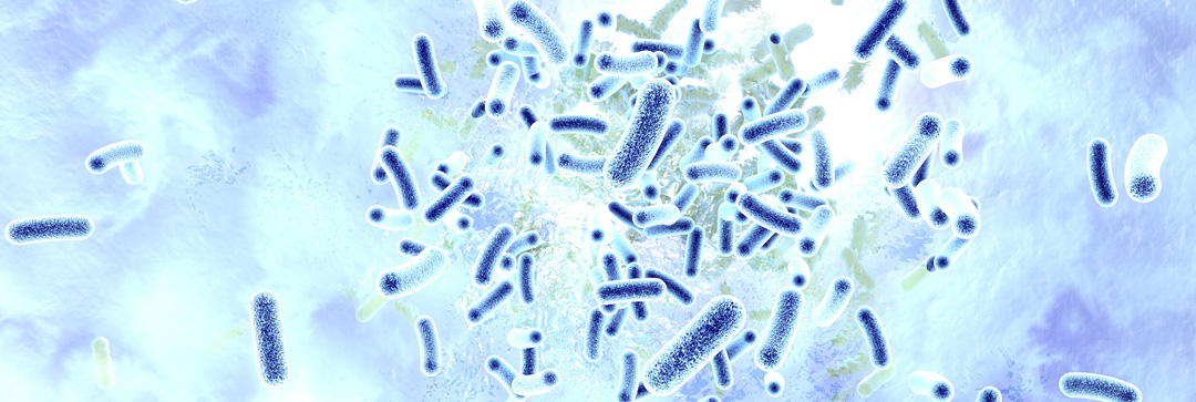 Legionella_pneumophila Foto: AdobeStock rgpilch